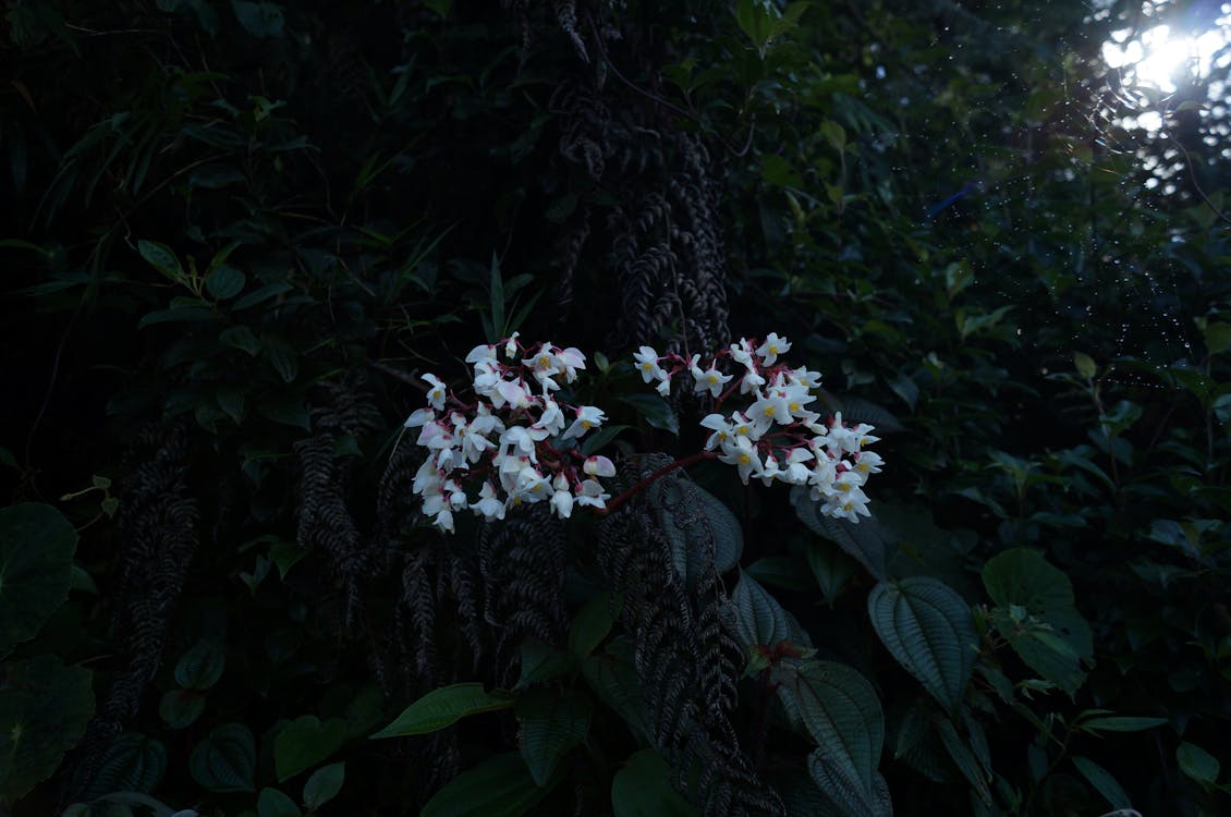 Aksu Konak Airfel klima servisi