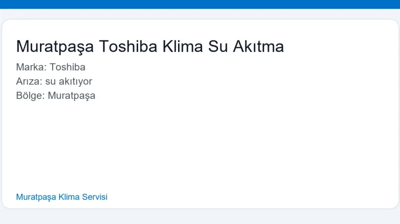 Muratpaşa Toshiba Klima Su Akıtma - Muratpaşa Klima Servisi hero